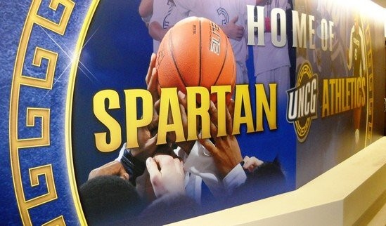 Vinyl graphics example