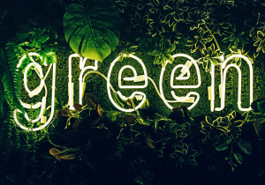 environmental neon sign